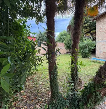 Foto annuncio 22