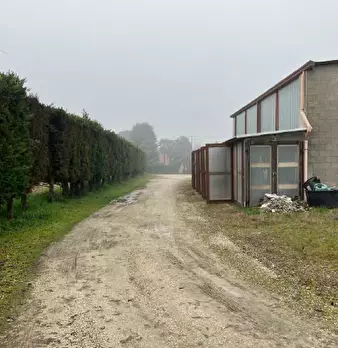 Foto annuncio 3