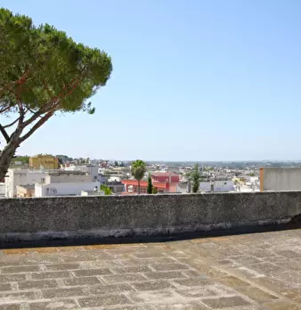 Foto annuncio 24