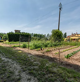 Foto annuncio 22