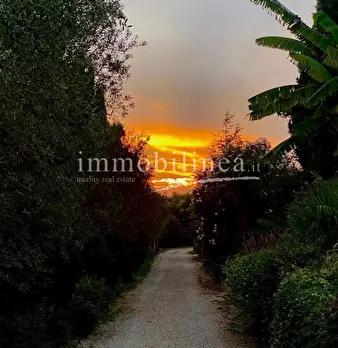 Foto annuncio 16
