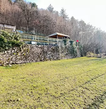Foto annuncio 50