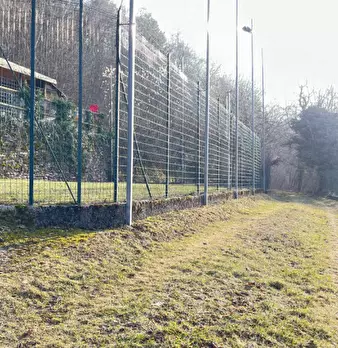 Foto annuncio 61