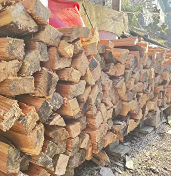 Foto annuncio 62