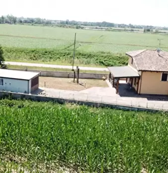 Foto annuncio 31