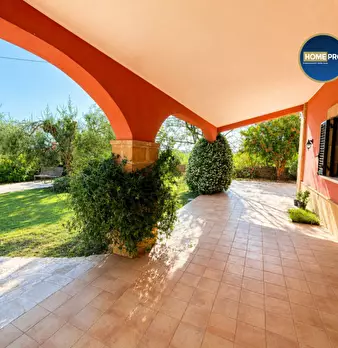 Foto annuncio 6