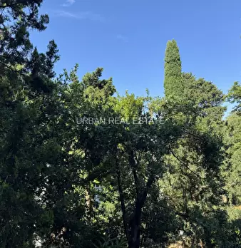 Foto annuncio 30