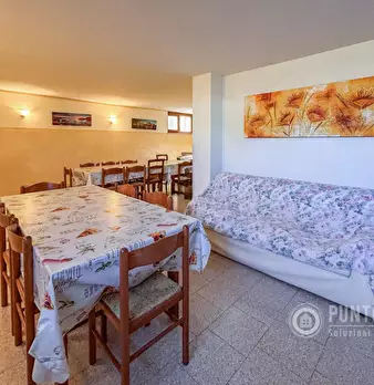 Foto annuncio 60