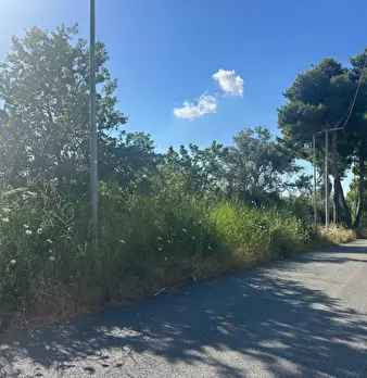 Foto annuncio 2