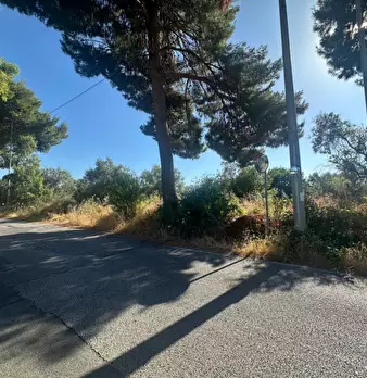 Foto annuncio 4