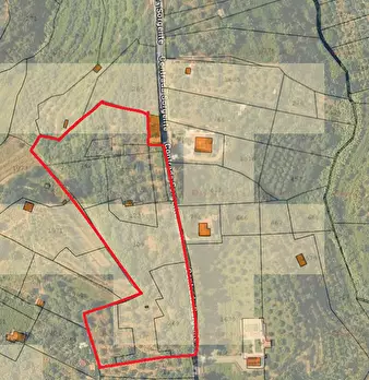 Foto annuncio 6
