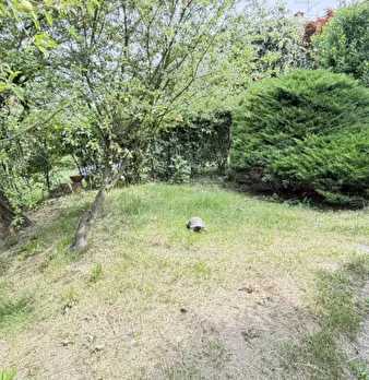 Foto annuncio 29