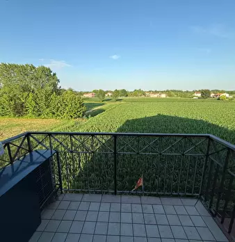 Foto annuncio 9