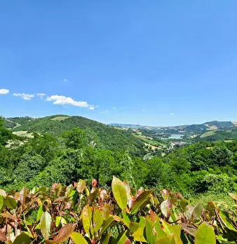 Foto annuncio 42