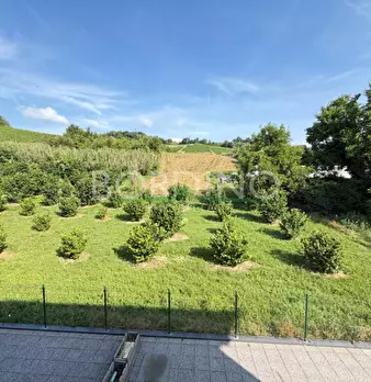 Foto annuncio 11