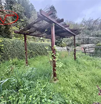 Foto annuncio 14