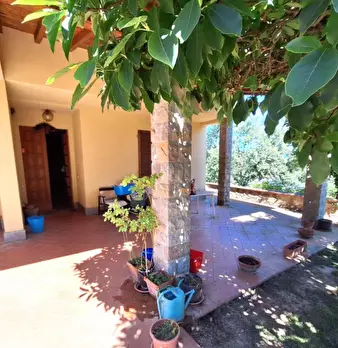 Foto annuncio 11
