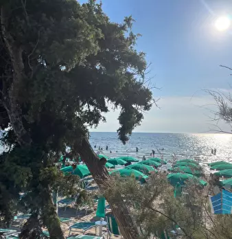 Foto annuncio 20