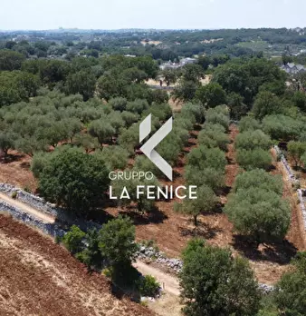 Foto annuncio 27