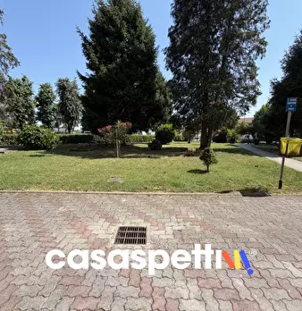Foto annuncio 31