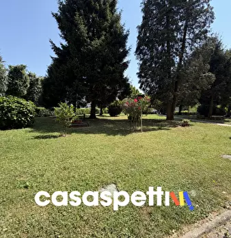 Foto annuncio 32