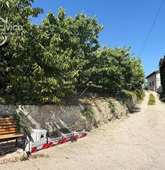 Foto annuncio 21