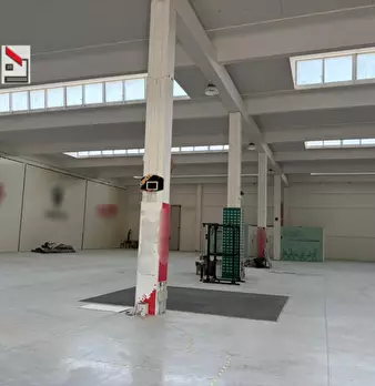 Foto annuncio 5