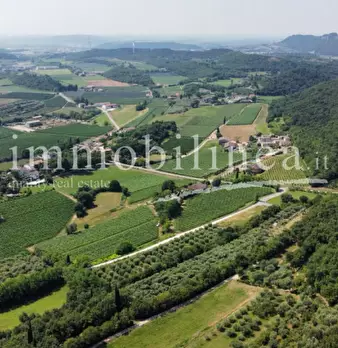 Foto annuncio 3