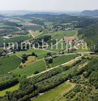 Foto annuncio 5