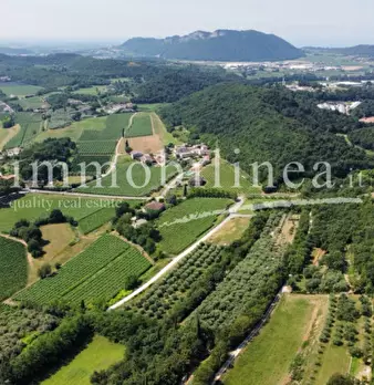 Foto annuncio 7