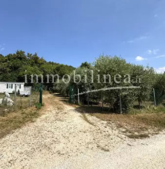 Foto annuncio 9