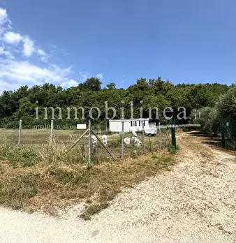 Foto annuncio 10