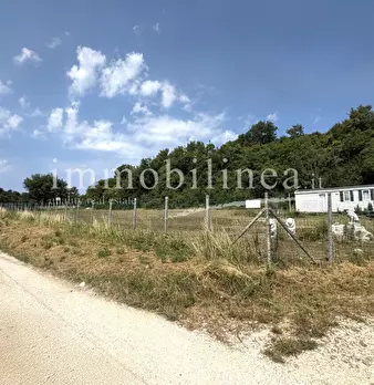 Foto annuncio 11