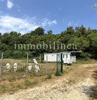 Foto annuncio 12