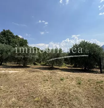 Foto annuncio 14