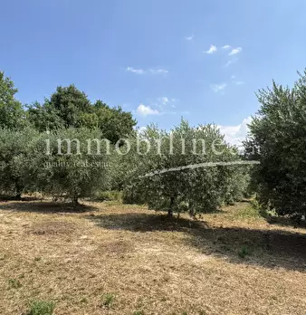 Foto annuncio 16