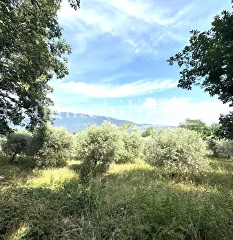 Foto annuncio 18