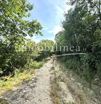 Foto annuncio 19