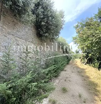 Foto annuncio 20