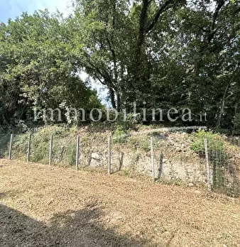 Foto annuncio 22