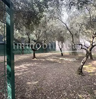 Foto annuncio 23