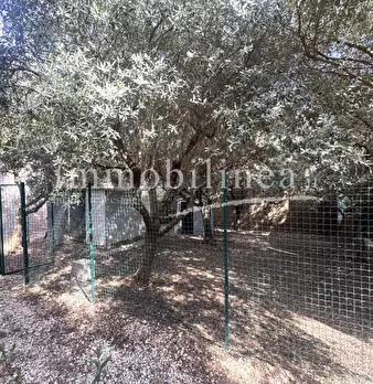 Foto annuncio 24