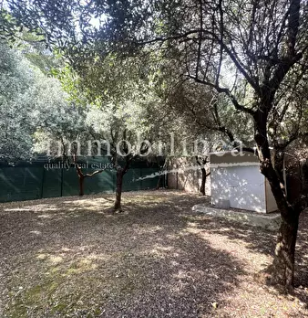 Foto annuncio 25