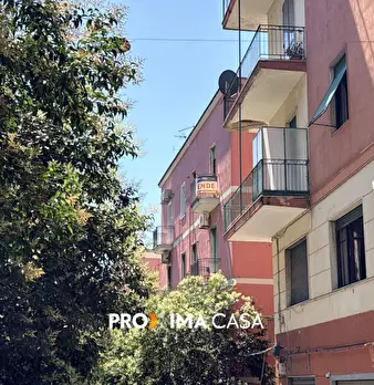 Foto annuncio 32