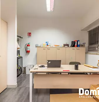 Foto annuncio 6