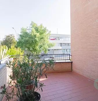 Foto annuncio 8