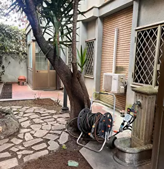 Foto annuncio 46