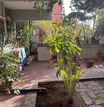 Foto annuncio 48