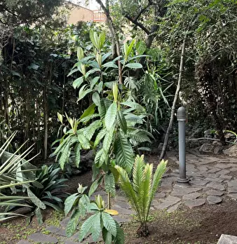 Foto annuncio 52