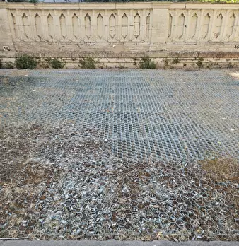Foto annuncio 42